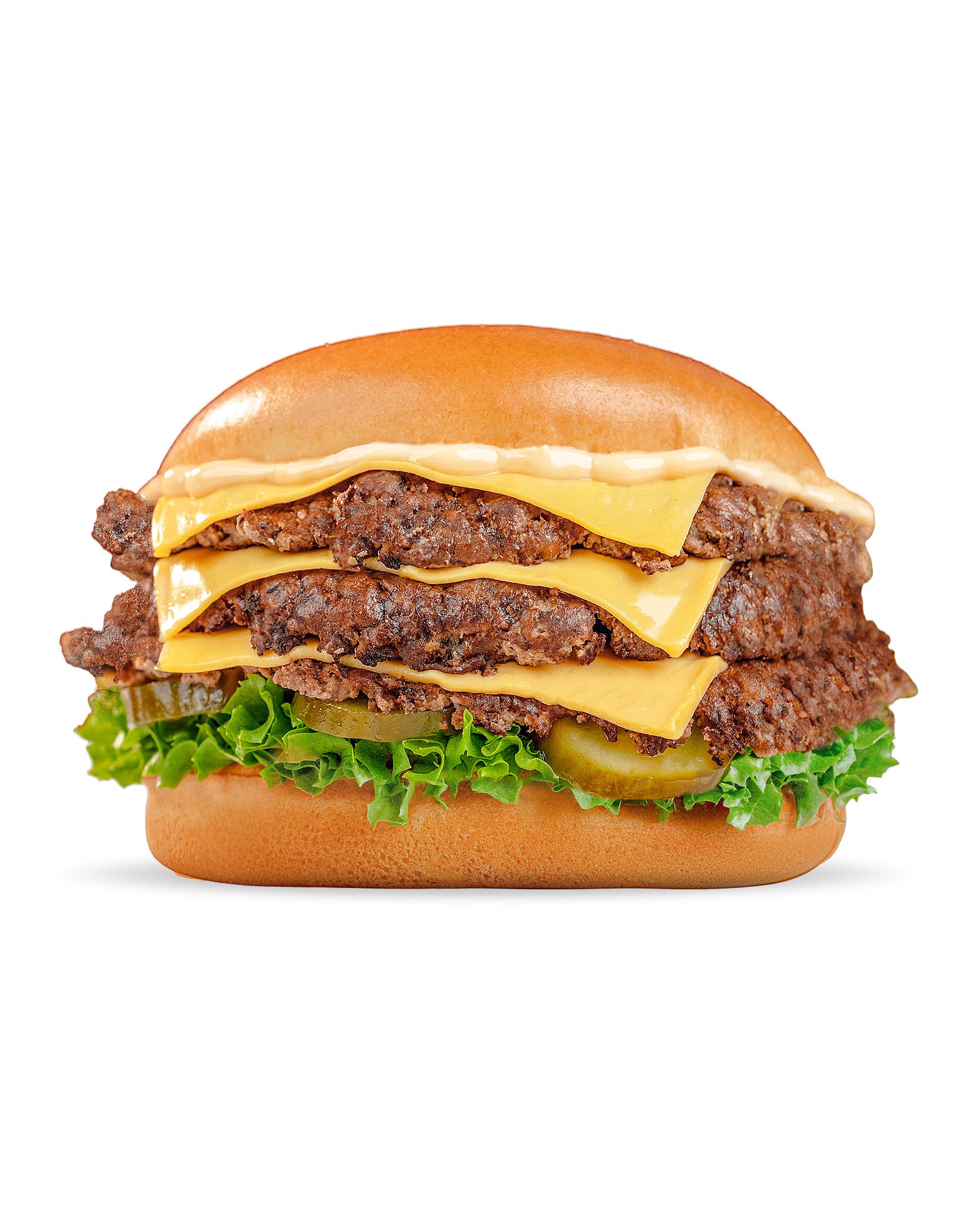 Burger the american style  . fries